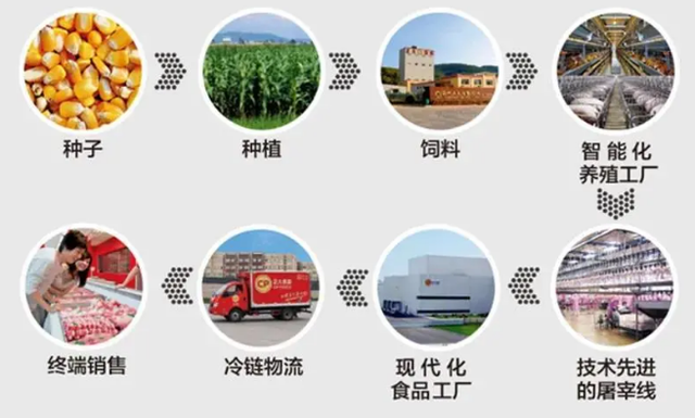 低调泰国首富家族冲击A股！没吃过他猪肉，一定看过他家办的节目 —— 农牧业技术的隐形帝国