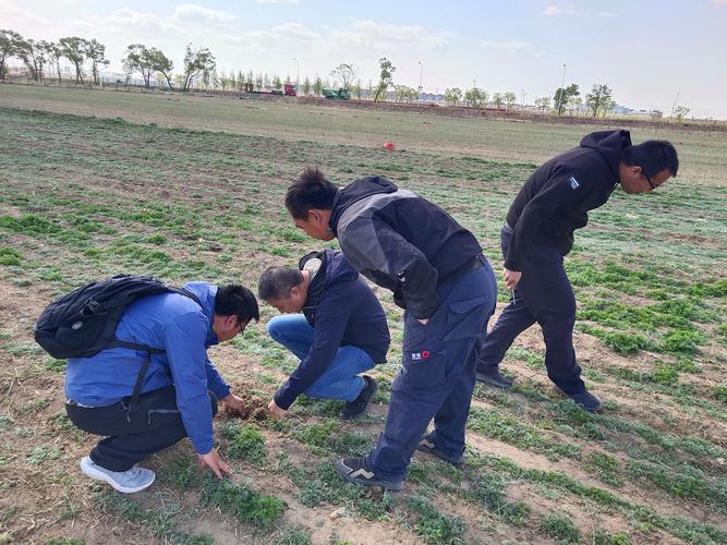 深化院地合作 共促草业科技创新——呼和浩特市农牧技术推广中心饲料饲草技术科与中国农业科学院草原研究所开展农牧业技术研究合作