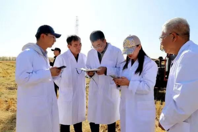 科技赋能盐碱地 内蒙古水稻亩产761.5公斤背后的农牧业技术突破