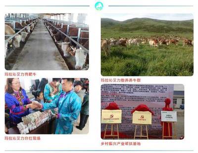 玛拉沁艾力荣获2021年通辽市农牧业产业化重点龙头企业认定，农牧业技术研究谱新篇